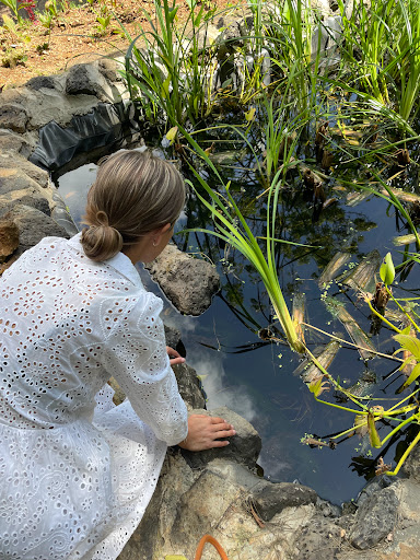 Turn Waste Water Into Vibrant Spaces
